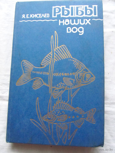 25-34 Я.Е. Киселев Рыбы наших вод Москва Мысль 1984
