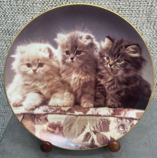 Фарфоровая тарелка EXTEC EDITION Германия. Радость для всех котят. Из серии Мурлыкающие кошачьи любимцы. 20.5 см