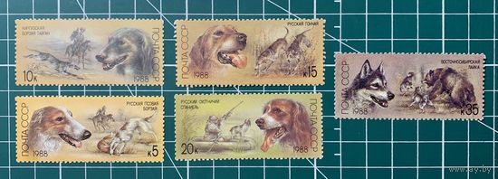 СССР 1988 "Породы охотничьих собак" Полная серия** 406