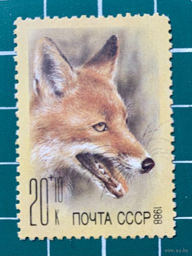 СССР 1988 "Животные зоопарков. Почтово-благотворительный выпуск в Фонд помощи зоопаркам". 430
