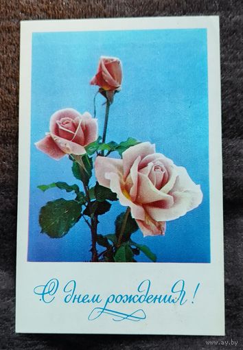 Открытка С днем рождения! 1977 г. Фото О.Френкеля