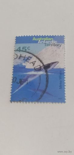 Австралийские антарктические территории. 1995. Киты и дельфины