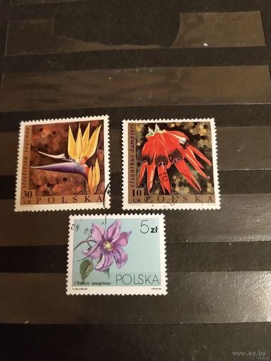 3 марки Польши флора цветы (4-9)