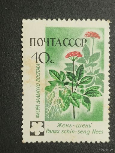 1960 СССР. Флора СССР. Цветы. Жень-шень