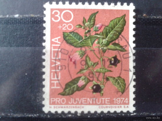 Швейцария 1974 Ягоды