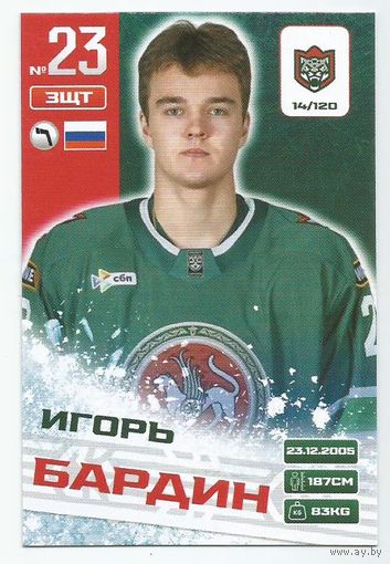 Игорь Бардин / Коллекция "Ак Барс Казань 2025-206"
