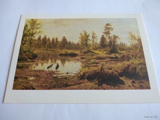 Открытка. И. Шишкин. Палесский пейзаж.