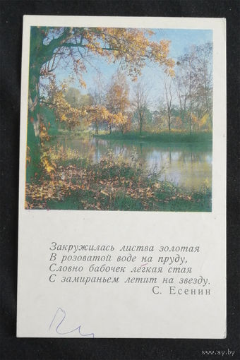 Стин И. Осень. 1968 год. Чистая #0010-V1P05
