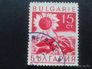 Болгария 1938 подсолнечник
