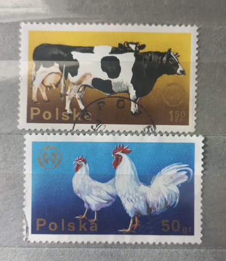 Польша. Фауна.