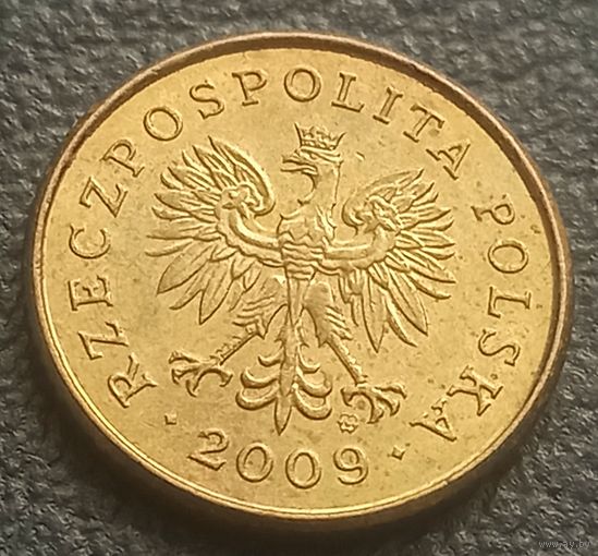 1 грош 2009