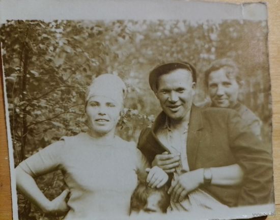 Фото в коллекцию