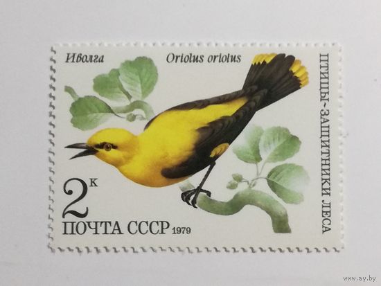 1979 СССР. Птицы. Иволга.