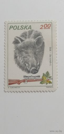 Польша 1981. Охота.