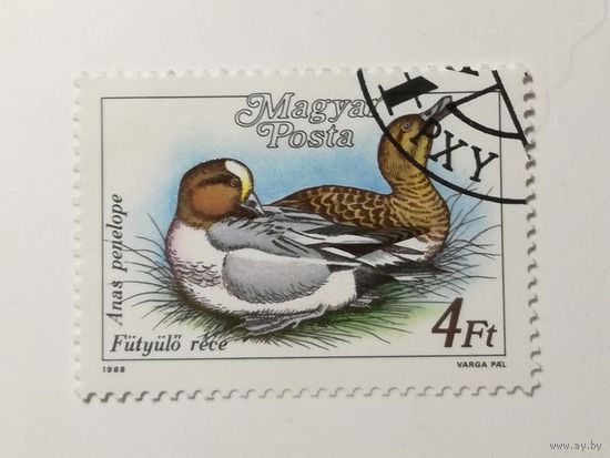 Венгрия 1988.  Утки.