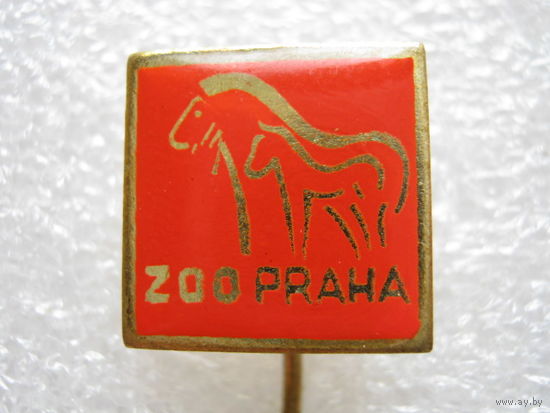 Зоопарк, Прага, лошадь, пони.