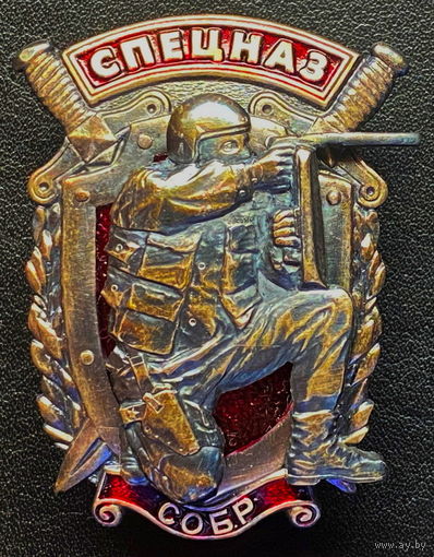 Нагрудный знак Спецназ "СОБР"