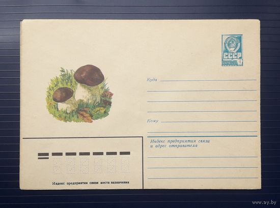 СССР 1979 ХМК худ.Игнатьев. Белый гриб.