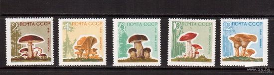 СССР-1964, (Заг.3036-3040) **, Грибы(прост.бум.) флора