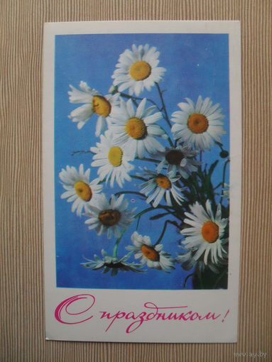 ПОДПИСАННАЯ ОТКРЫТКА СССР. 1967 год. "С ПРАЗДНИКОМ" фото Е. ИГНАТОВИЧ.