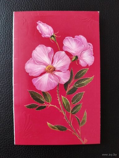 Открытка. Художник Н. Коробова. 1989 год. Двойная. Подписана!