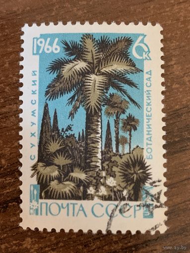 СССР 1966. Сухумский ботанический сад. Марка из серии