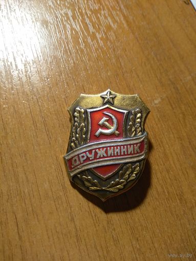 Значёк ДРУЖИННИК