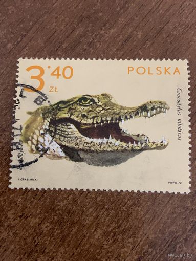 Польша 1972. Крокодил. Crocodylus niloticus. Марка из серии