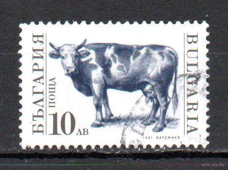 Стандартный выпуск. Корова Болгария 1991 год серия из 1 марки