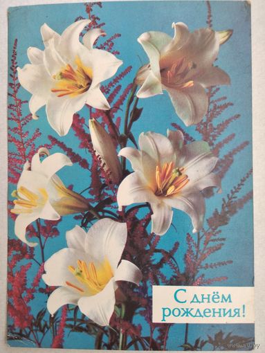 Открытка ,, с днем рождения ,, 1988 г. подписана