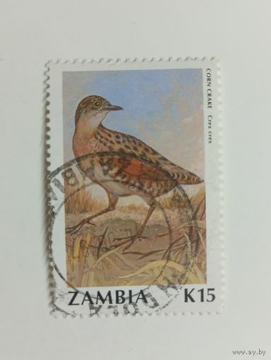 Замбия 1990. Птицы