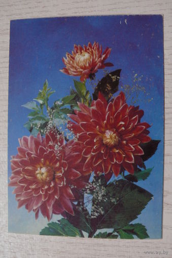 Дергилев И., Цветы, 1991, 1992, чистая.