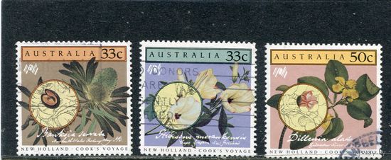 Австралия. Австралийская флора