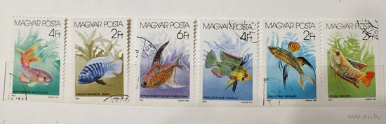 РАСПРОДАЖА КОЛЛЕКЦИИ. Венгрия. марки "рыбы"