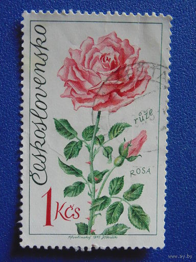 Чехословакия 1973 г. Розы.