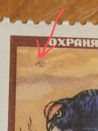1957 СССР заг 1907 разновидность точка над головой тетерева клей след от лёгкой наклейки фауна (с-13)