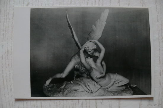 Государственный Эрмитаж. Амур и Психея (мрамор); 1959, чистая.
