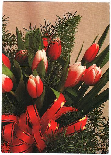 Беларусь. Почтовая карточка без в/д