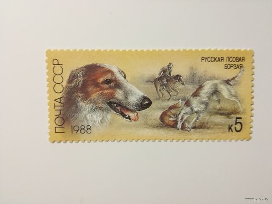 1988 СССР. Охотничьи собаки. Русская борзая