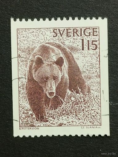 Швеция 1978. Медведь. Полная серия