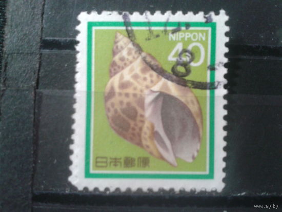 Япония, 1988. Ракушка