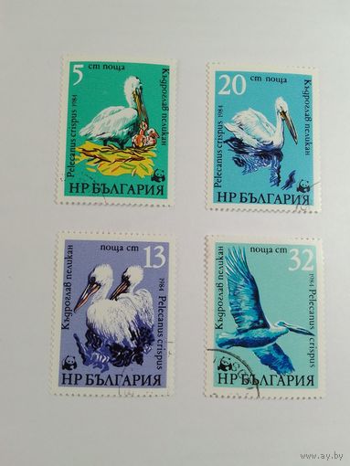 Марки  Птицы  Болгария   1984г  4 шт