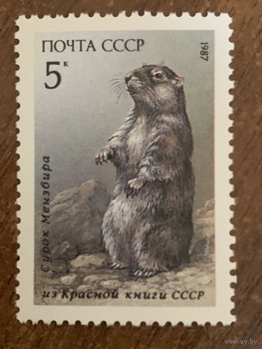 СССР 1987. Сурок Мензбира. Марка из серии