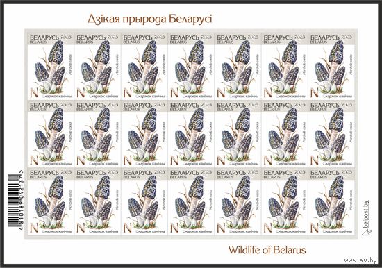 Беларусь 2025г 18-й стандартный выпуск. Смаржок канiчны (самокл. )MNH