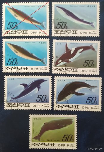 КНДР 1992 киты, животные моря.