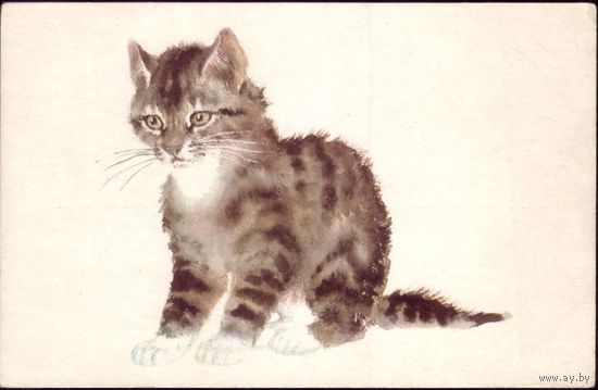 1970 год В.Лебедев Котята No1