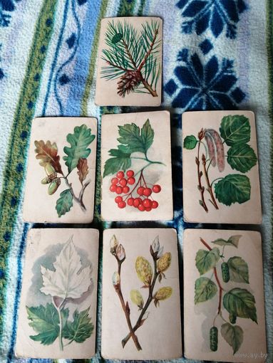 Старые карточки