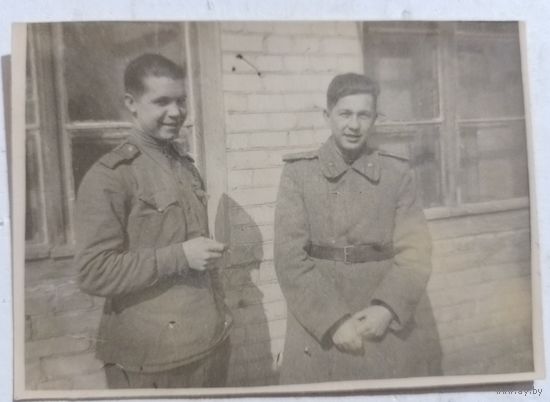 Фото в коллекцию