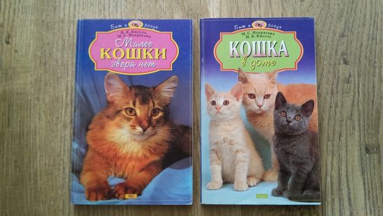 Милее кошки зверя нет. Кошка в доме