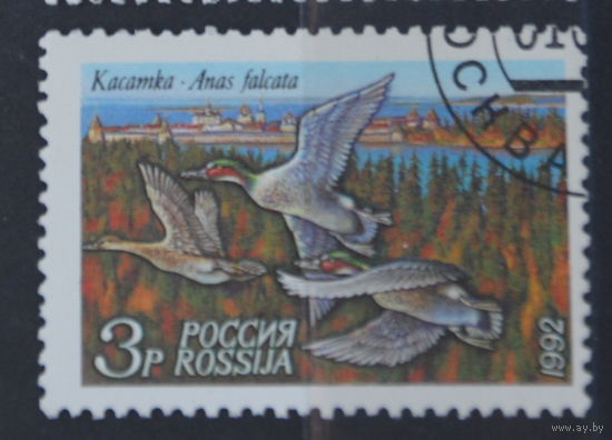 Россия